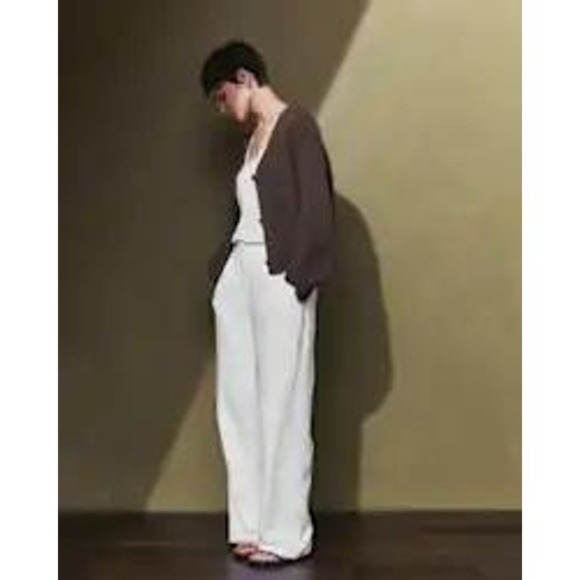Quince Pants - Quince European Linen Pleated Trouser White Size 4 New With Tags